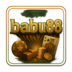 babu88 bKash screen setup